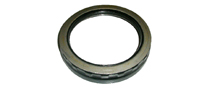 fruehauf trailer oil seal with metal jacket manufacturer from india